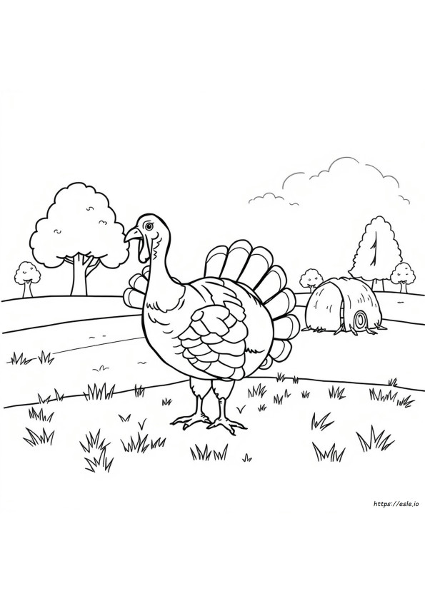 Turkey Country Coloring Pages