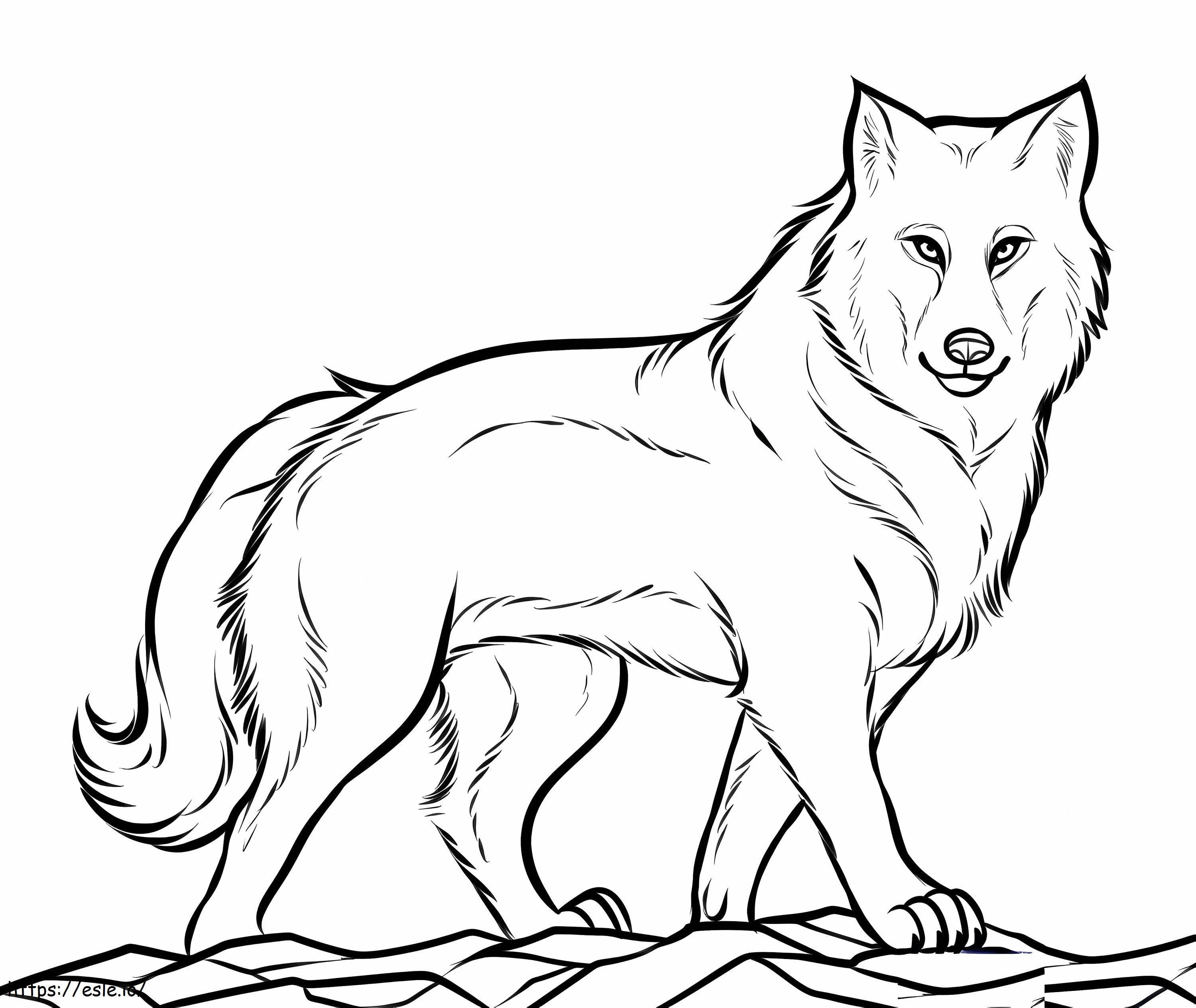 A Wolf coloring page