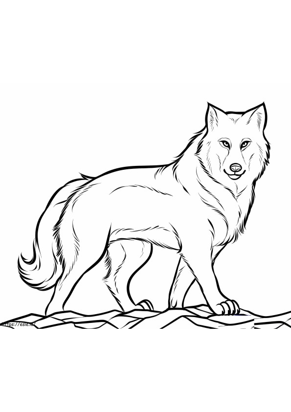 Een wolf kleurplaat