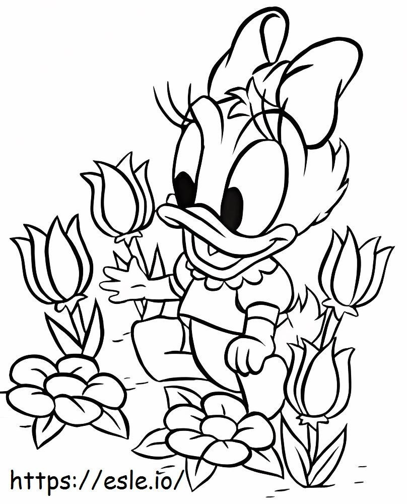 Coloriage Bébé canard marguerite avec fleur à imprimer dessin