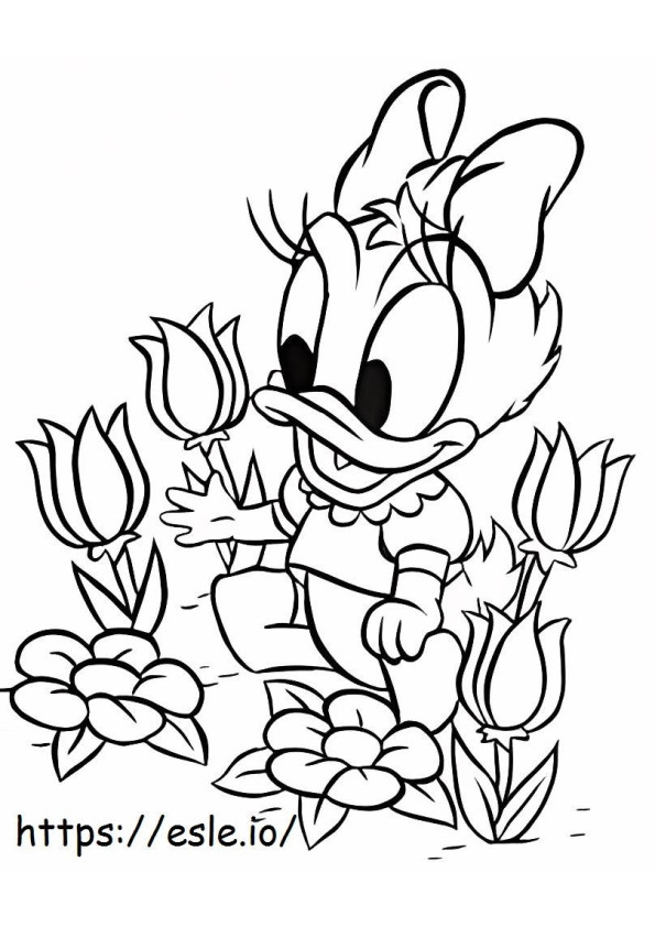 Coloriage Bébé canard marguerite avec fleur à imprimer dessin