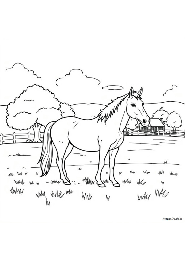 Dibujos De Caballos Reales Para Colorear