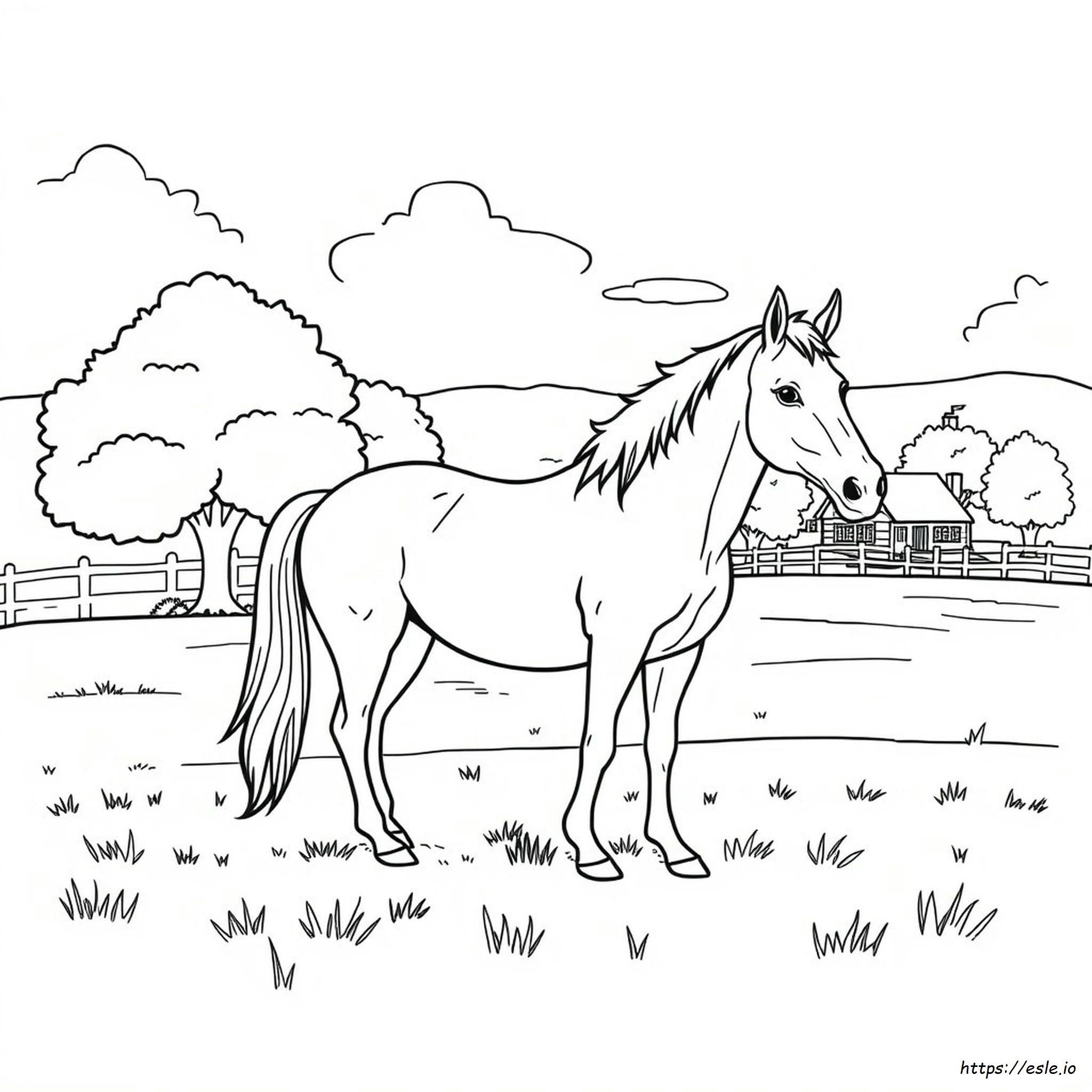 Real Horse Coloring Pages