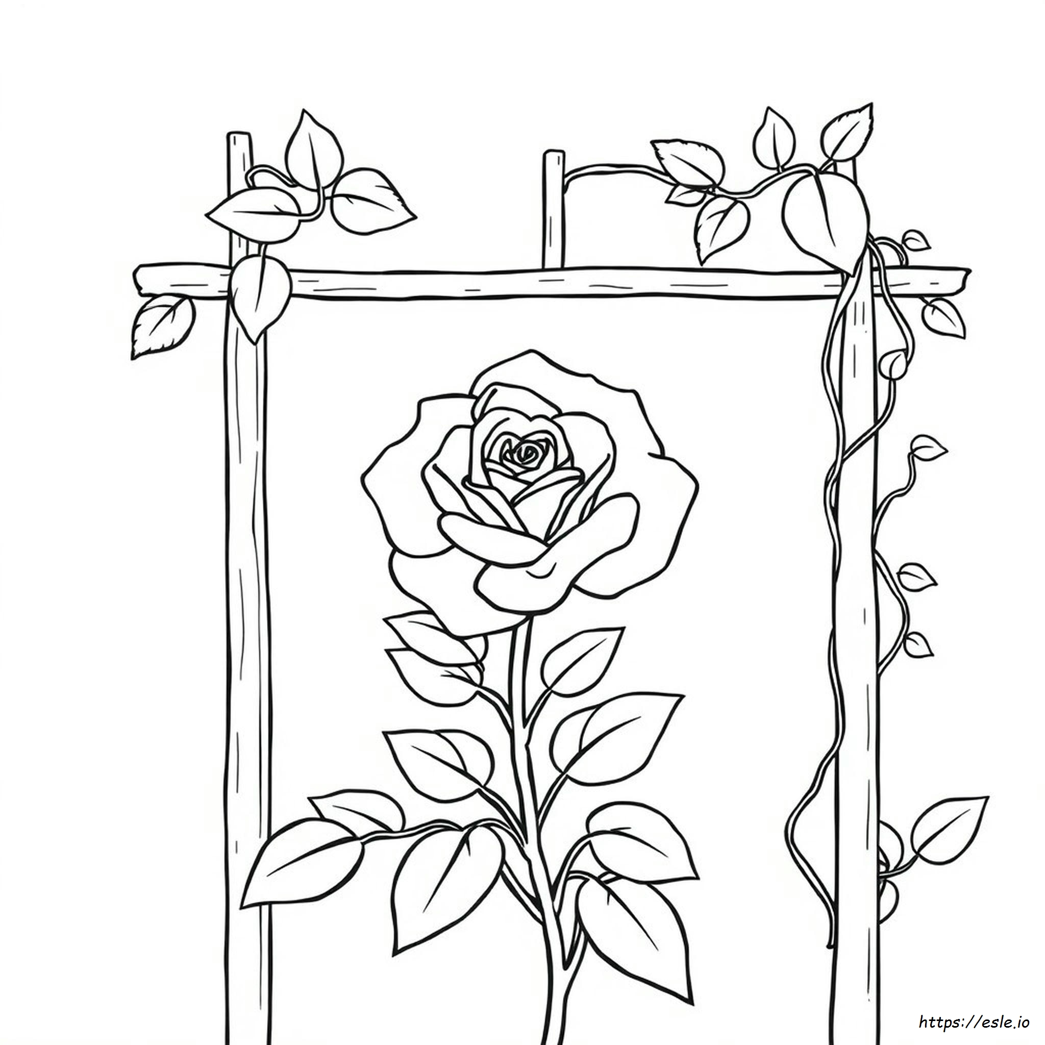 Dibujo Para Colorear De Una Rosa