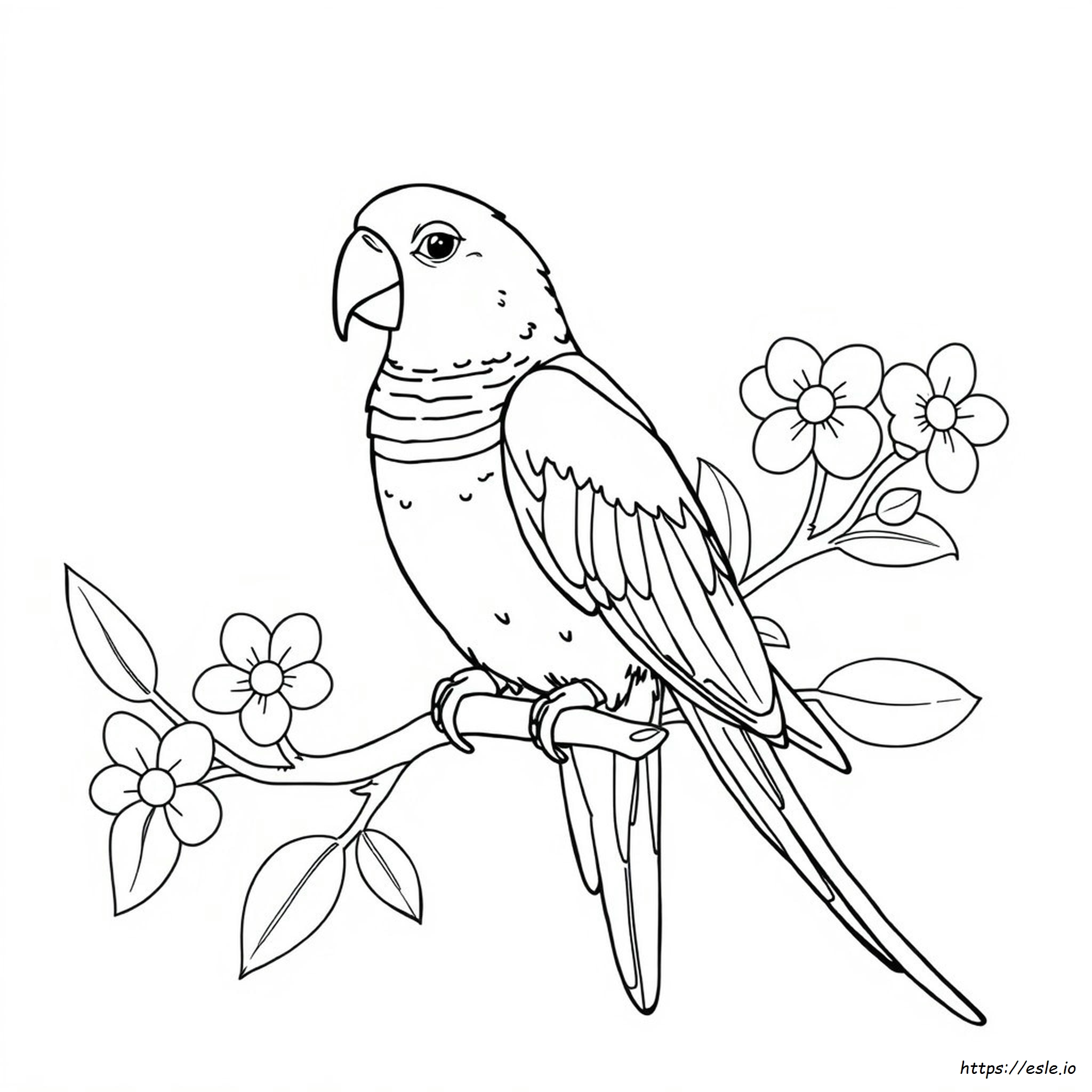 Rainbow Lorikeet Coloring Page