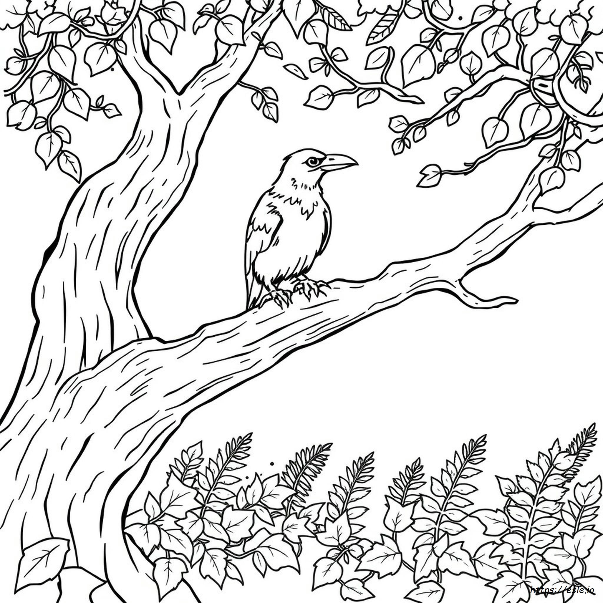 Coloring Pages Raven De Colorat