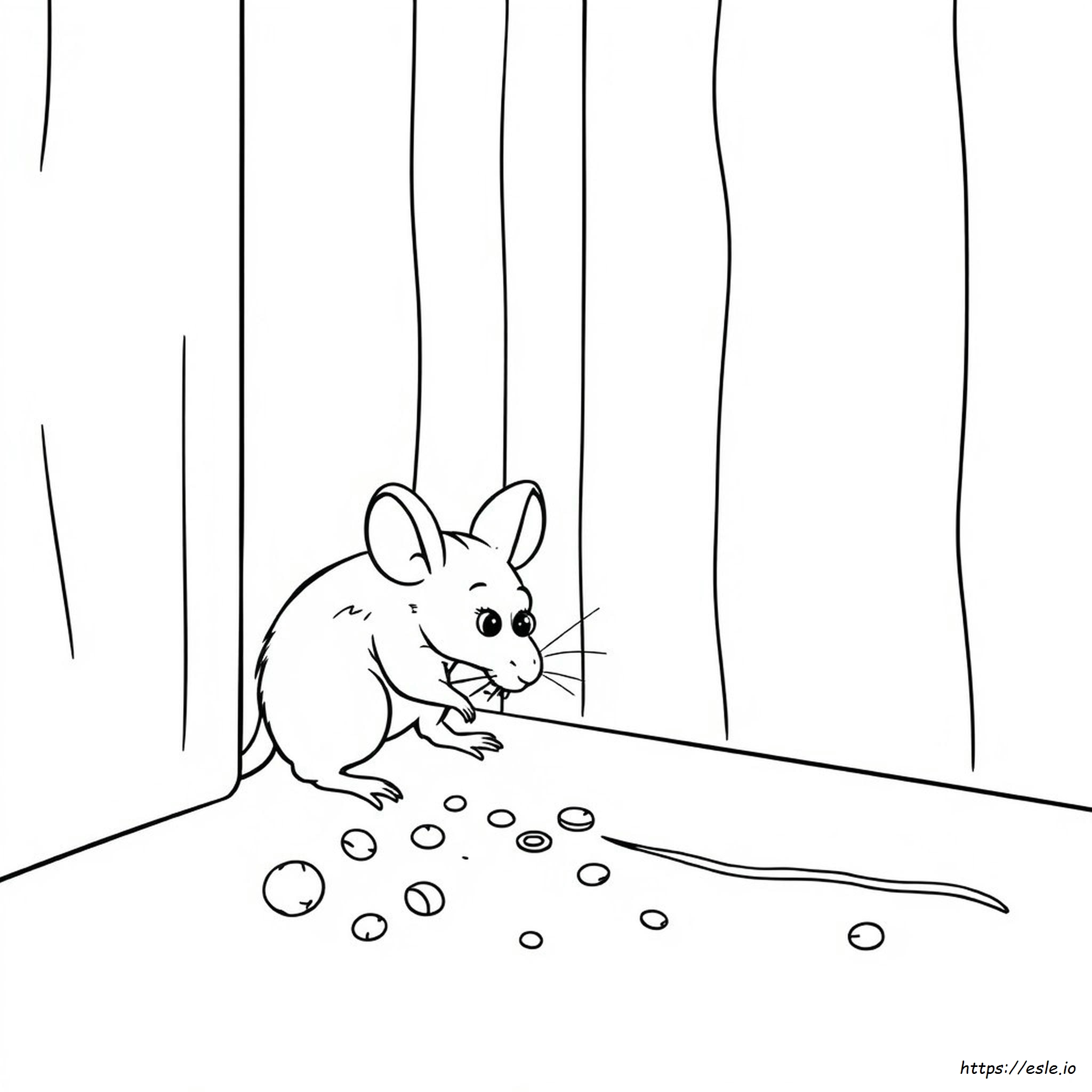 What Colors Are Mice Attracted To