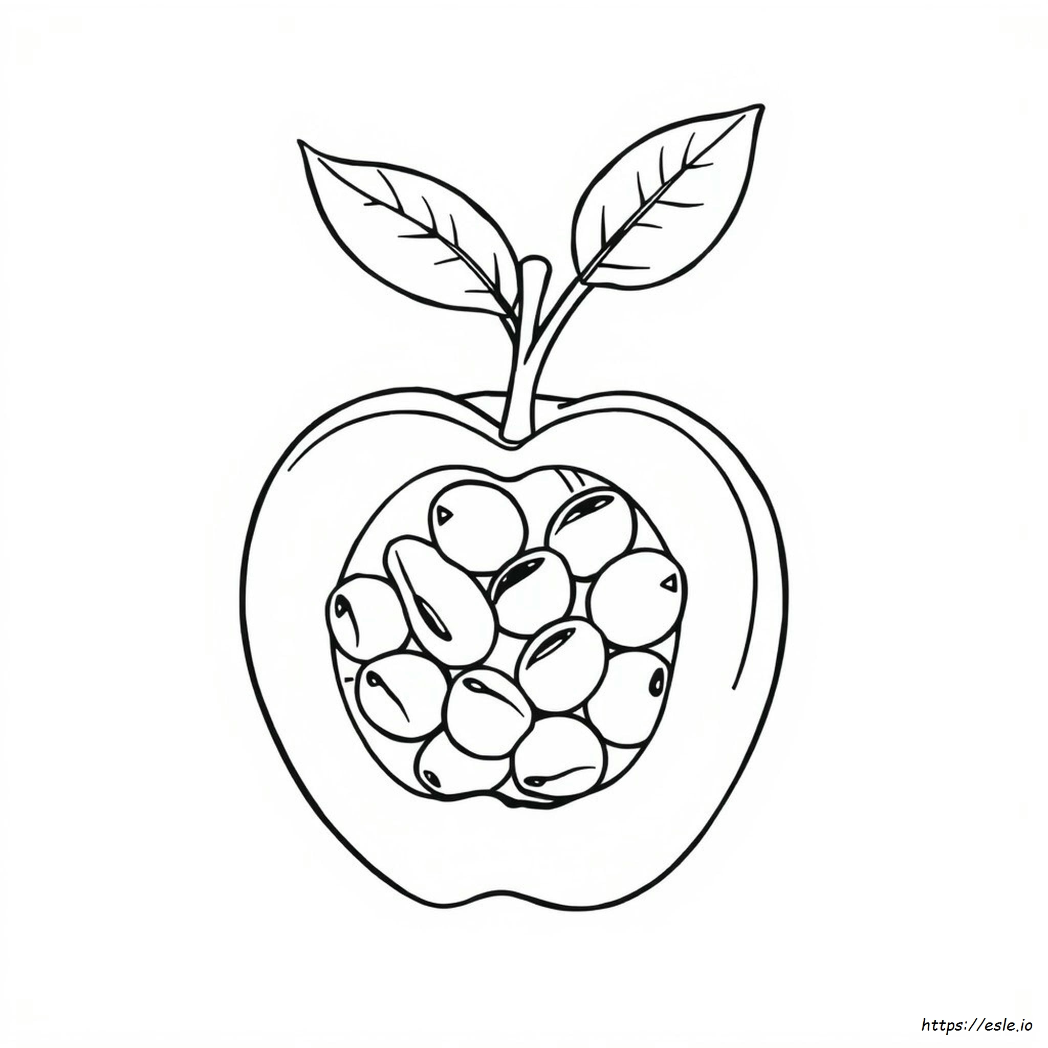 Apple Seed Coloring Page