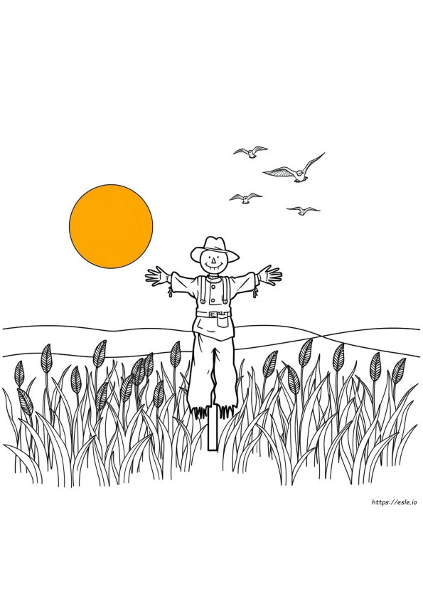 Color Scarecrow Pictures