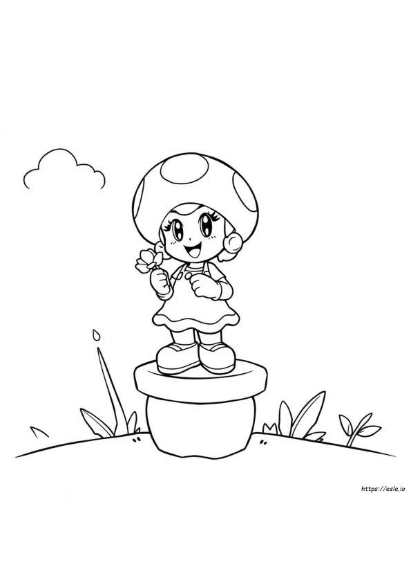 Toadette Di Super Mario Disegni Da Colorare