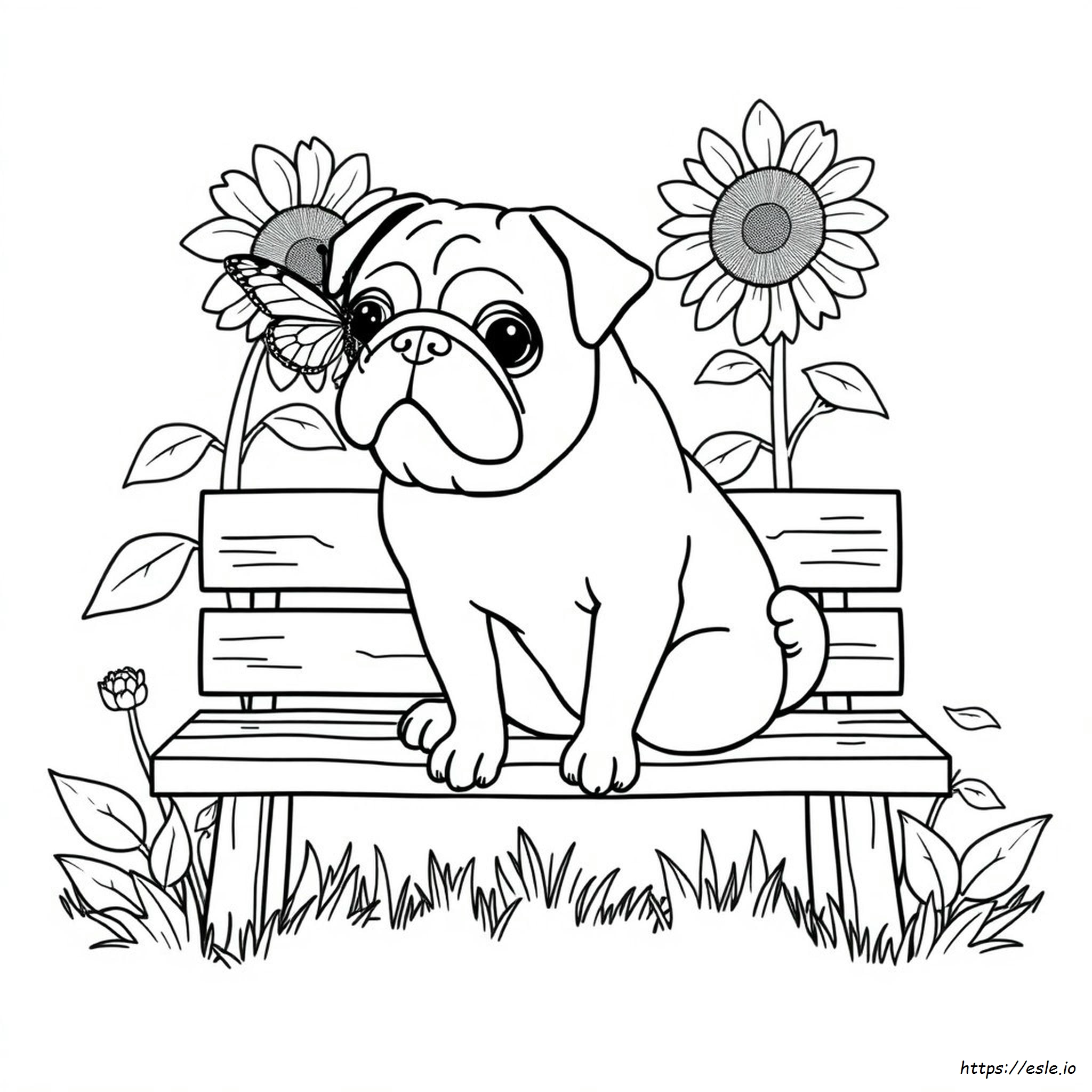 Adult Coloring Pages Pug
