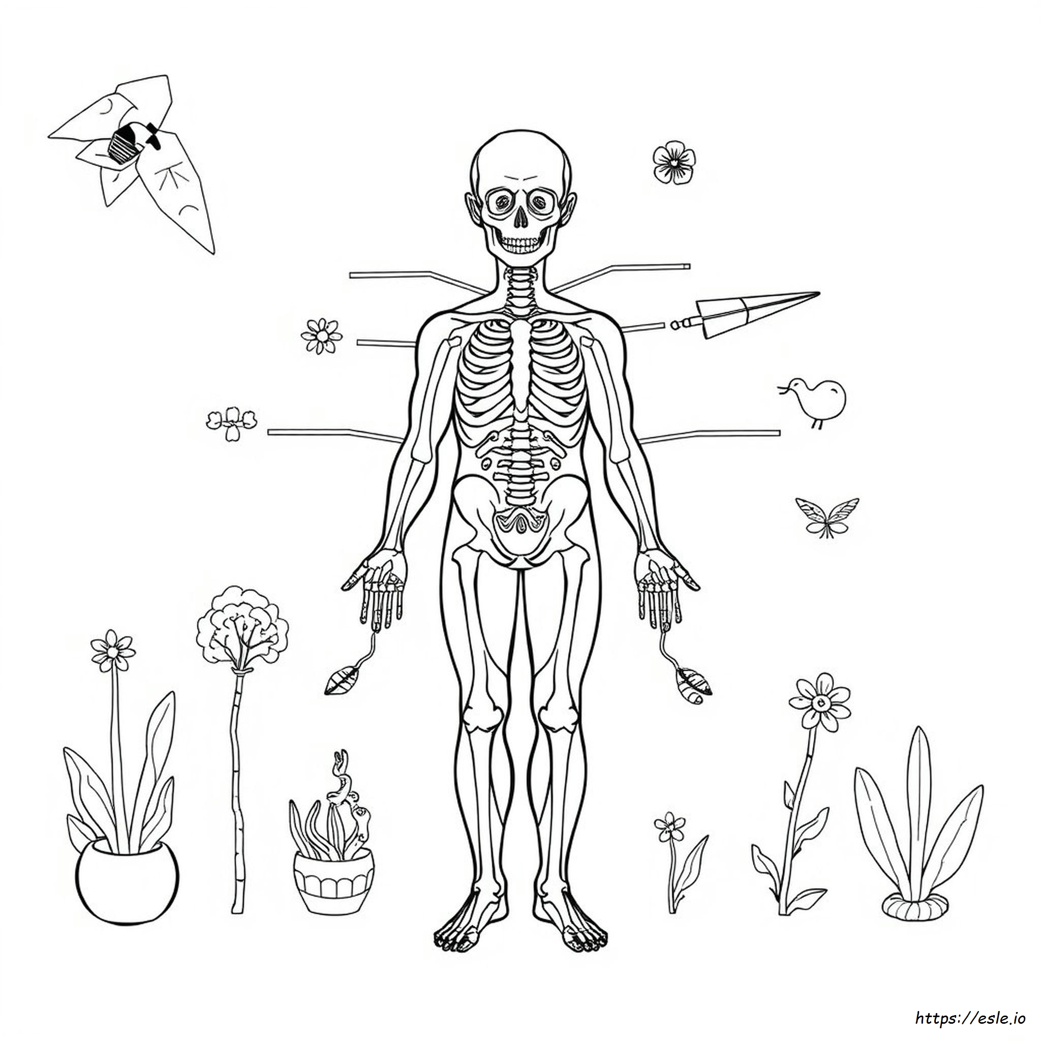 Anatomy Coloring Pages Pdf