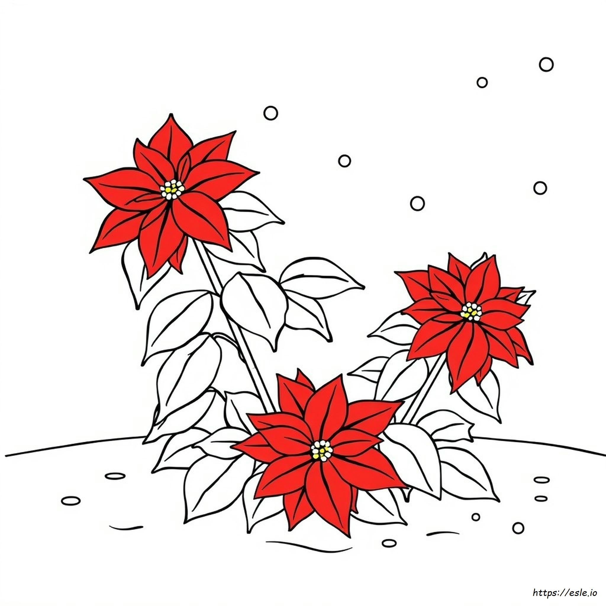 Poinsettias Coloring Page
