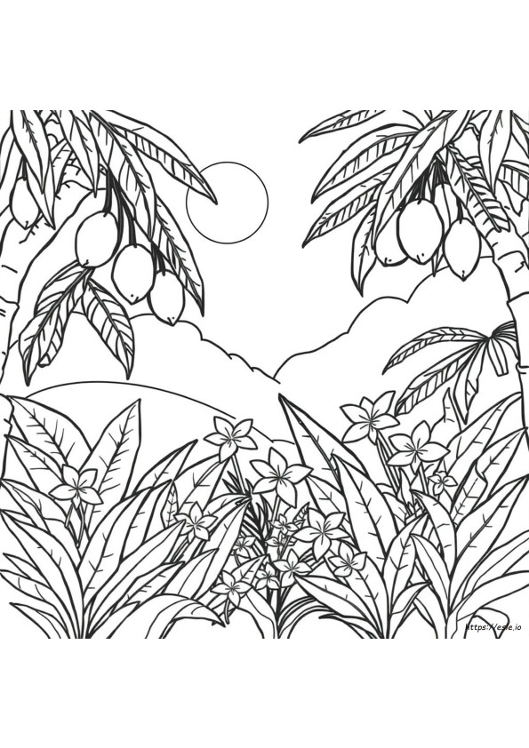 Tropical Plants Coloring Pages