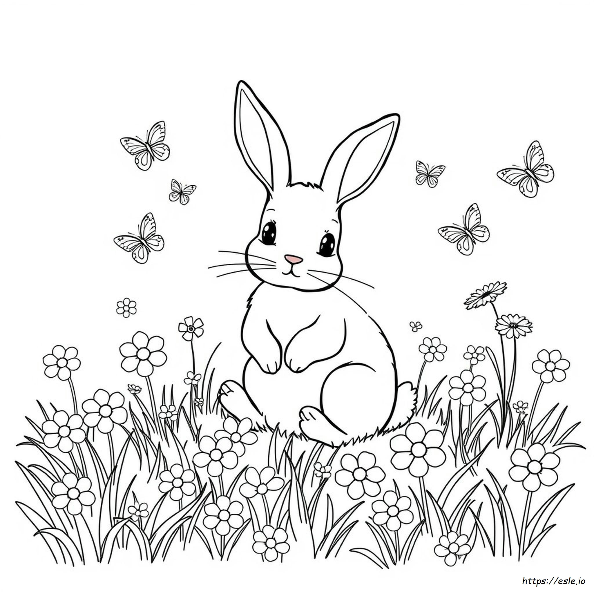 Coloring Rabbit Pictures
