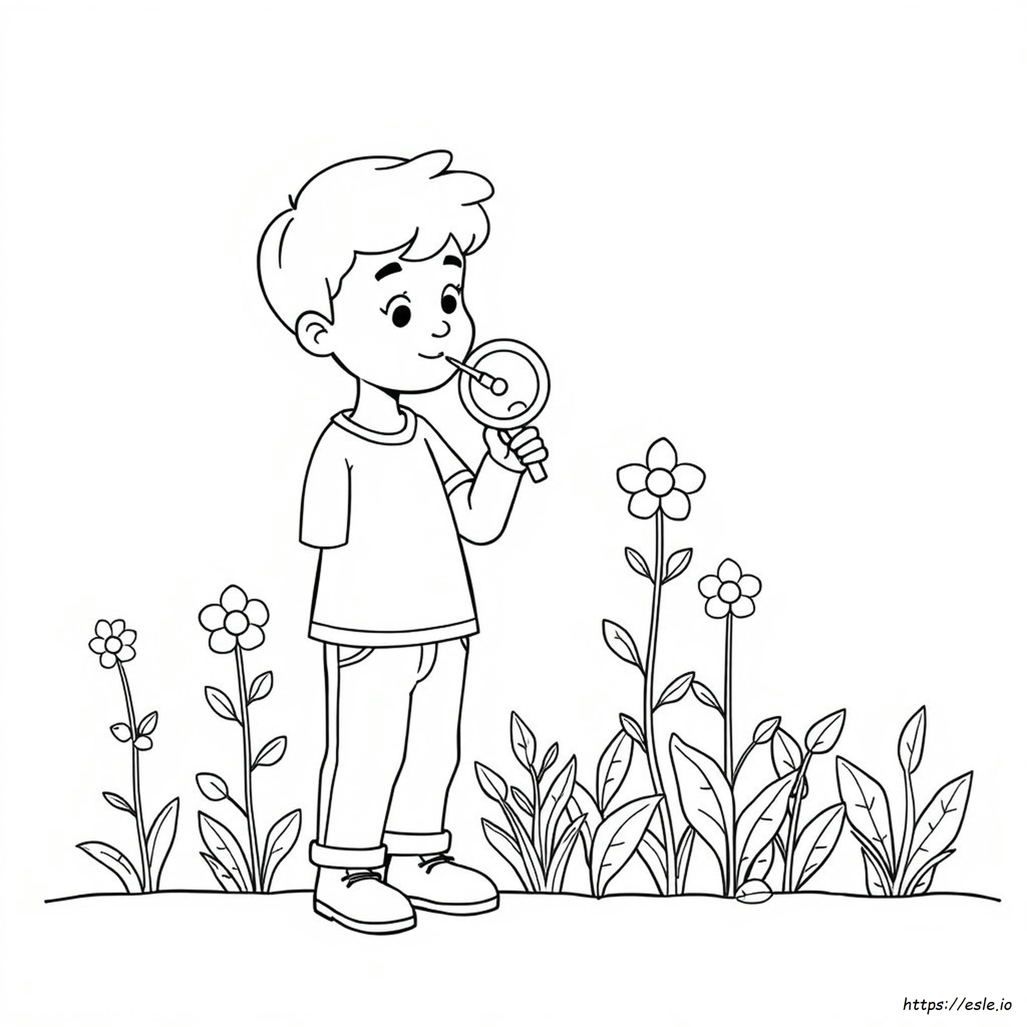 Páginas Para Colorear De Los Sentidos
