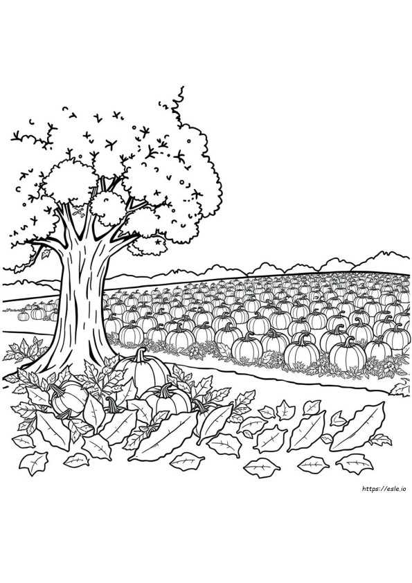 September Theme Coloring Pages