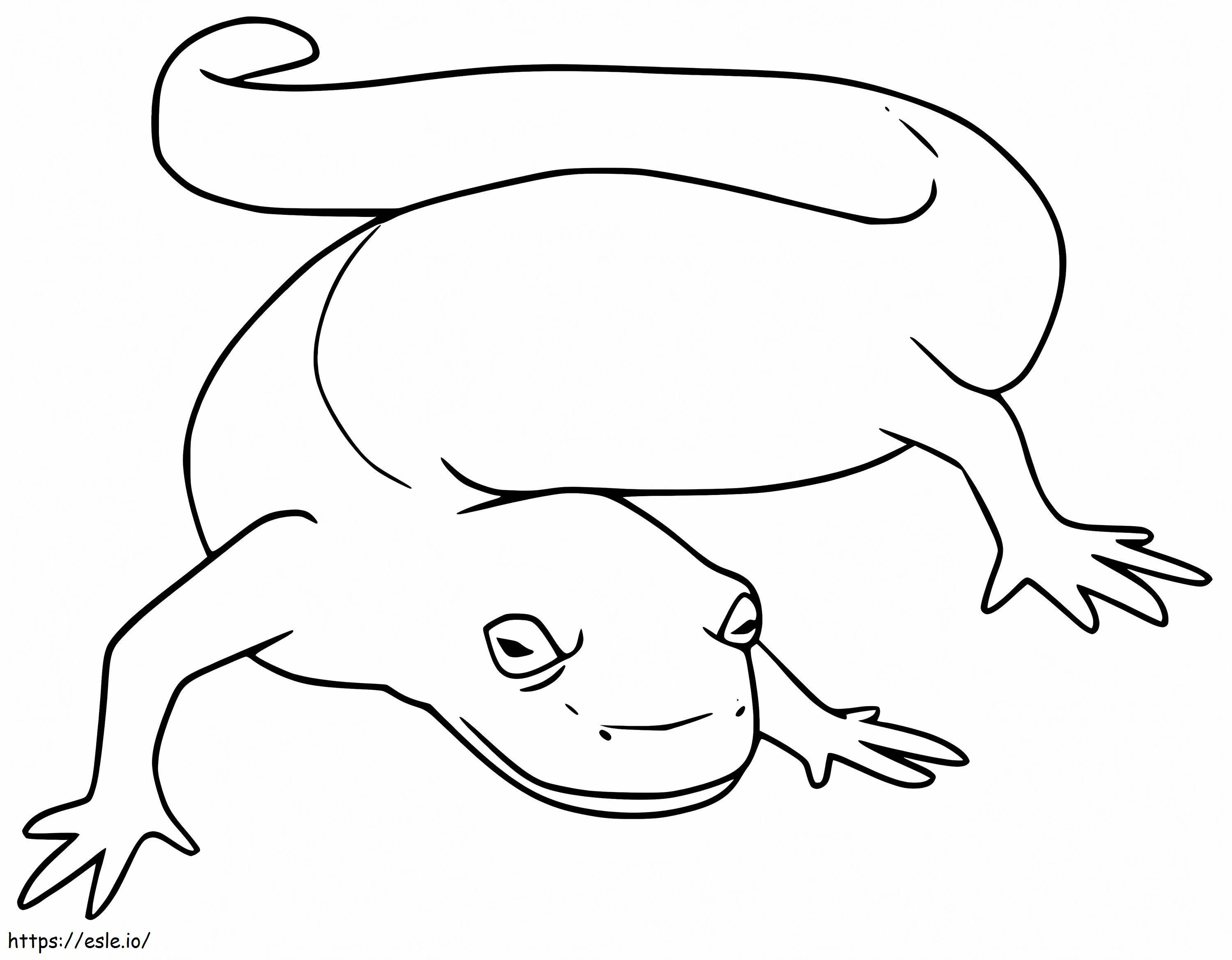 salamandra simples para colorir
