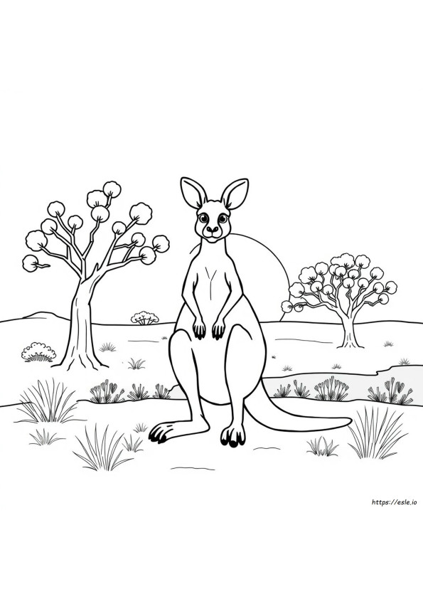 Australische Dieren Kleurplaten