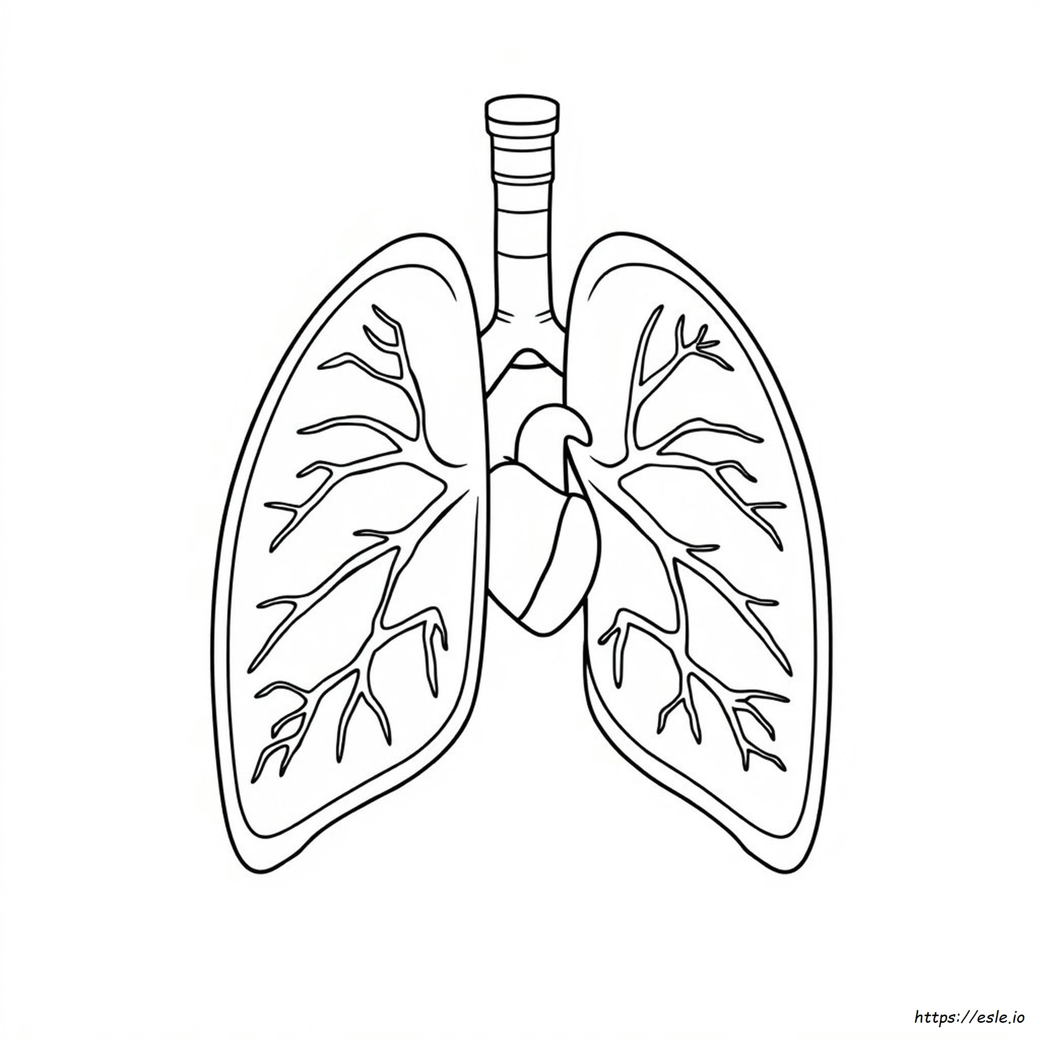 Lungs Coloring Page