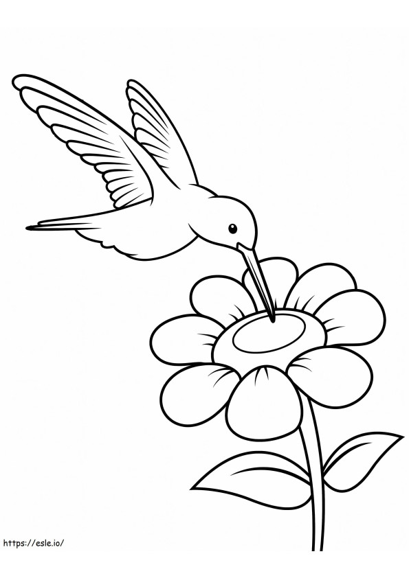 Eenvoudige Kolibrie Met Bloem kleurplaat