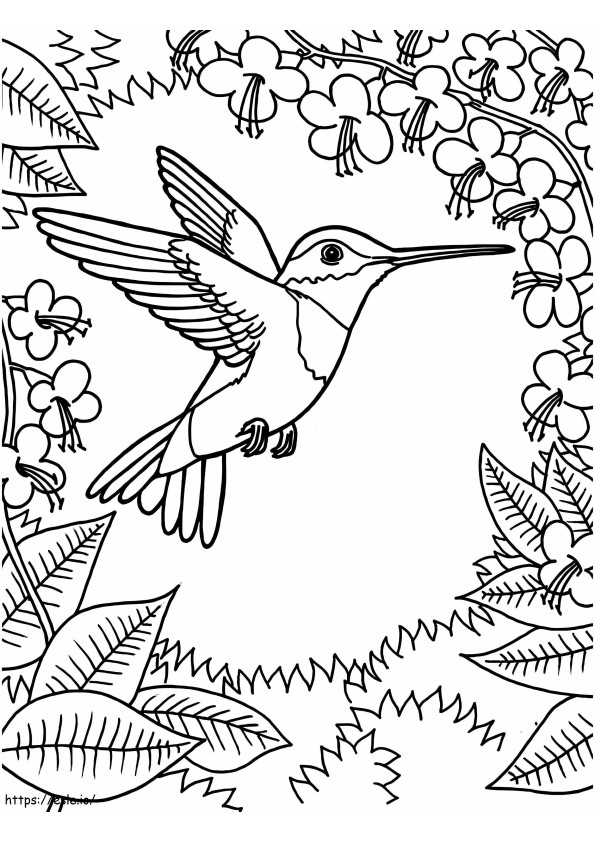 Coloriage Le colibri est pour les adultes à imprimer dessin