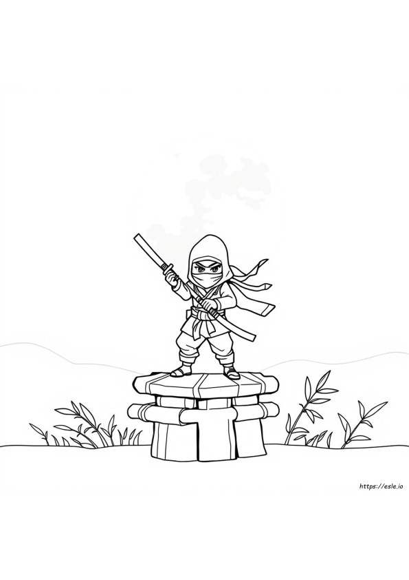 Ninja De Colorat