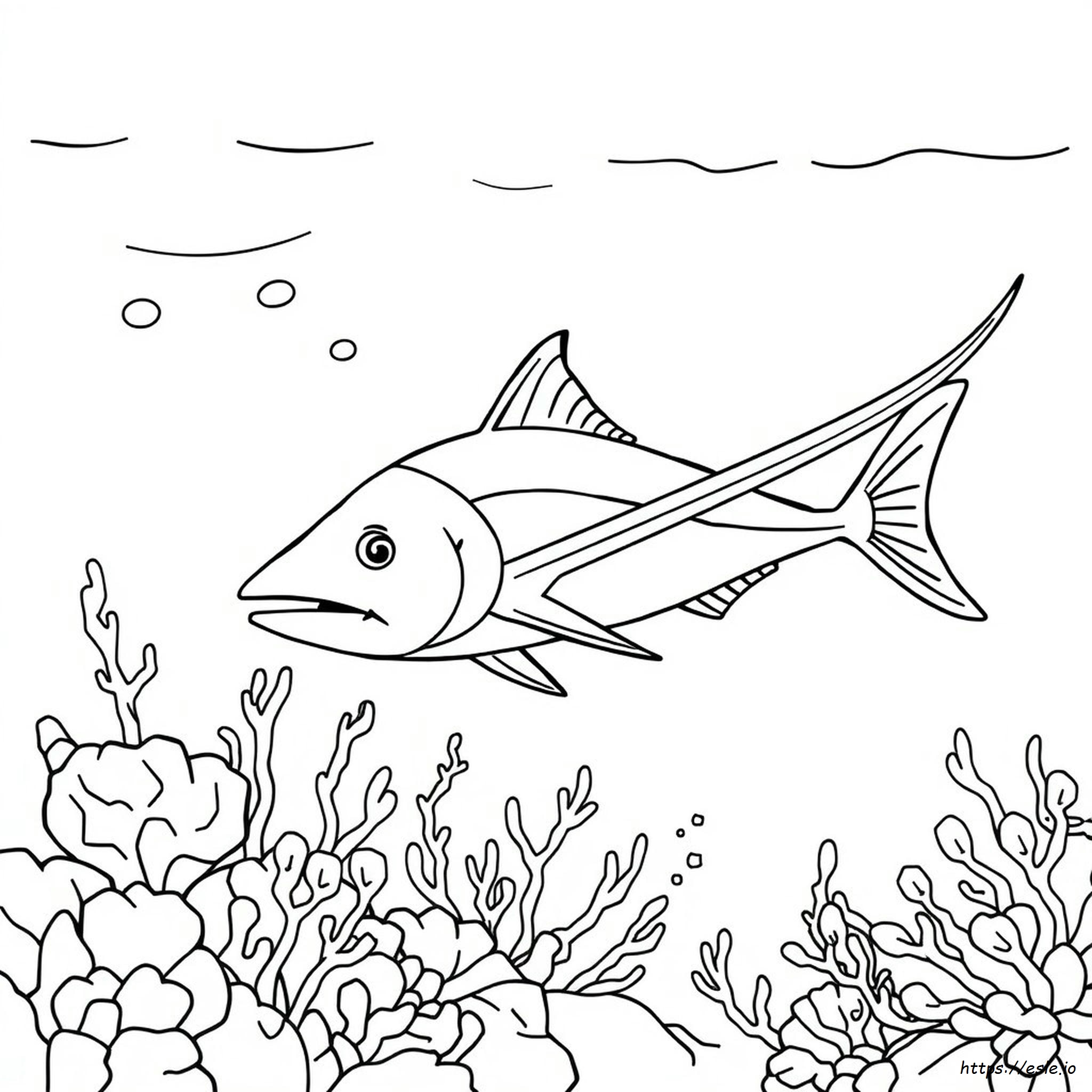 Sword Fish Coloring Pages