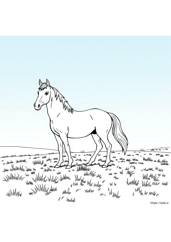 Süper Boyama At