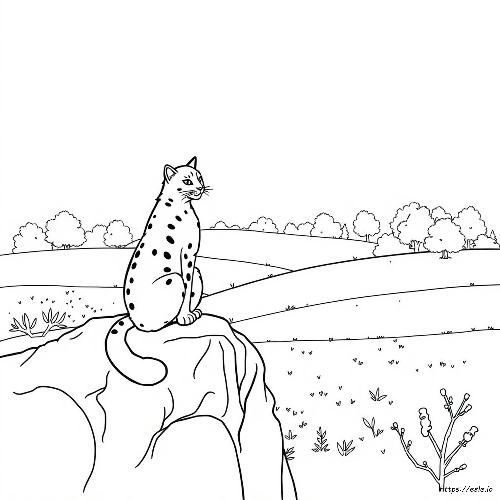 Wild Cat Colouring Pages