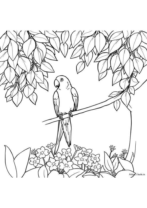 Papagaio Para Colorir