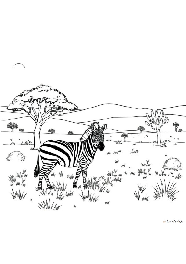 Gambar Mewarnai Afrika Selatan