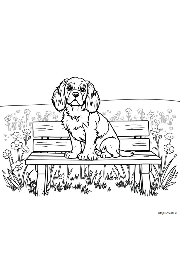 Cavalier King Charles Spaniel Ausmalbild