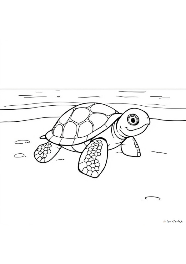 Dibujos De Tortugas Bebé Para Colorear