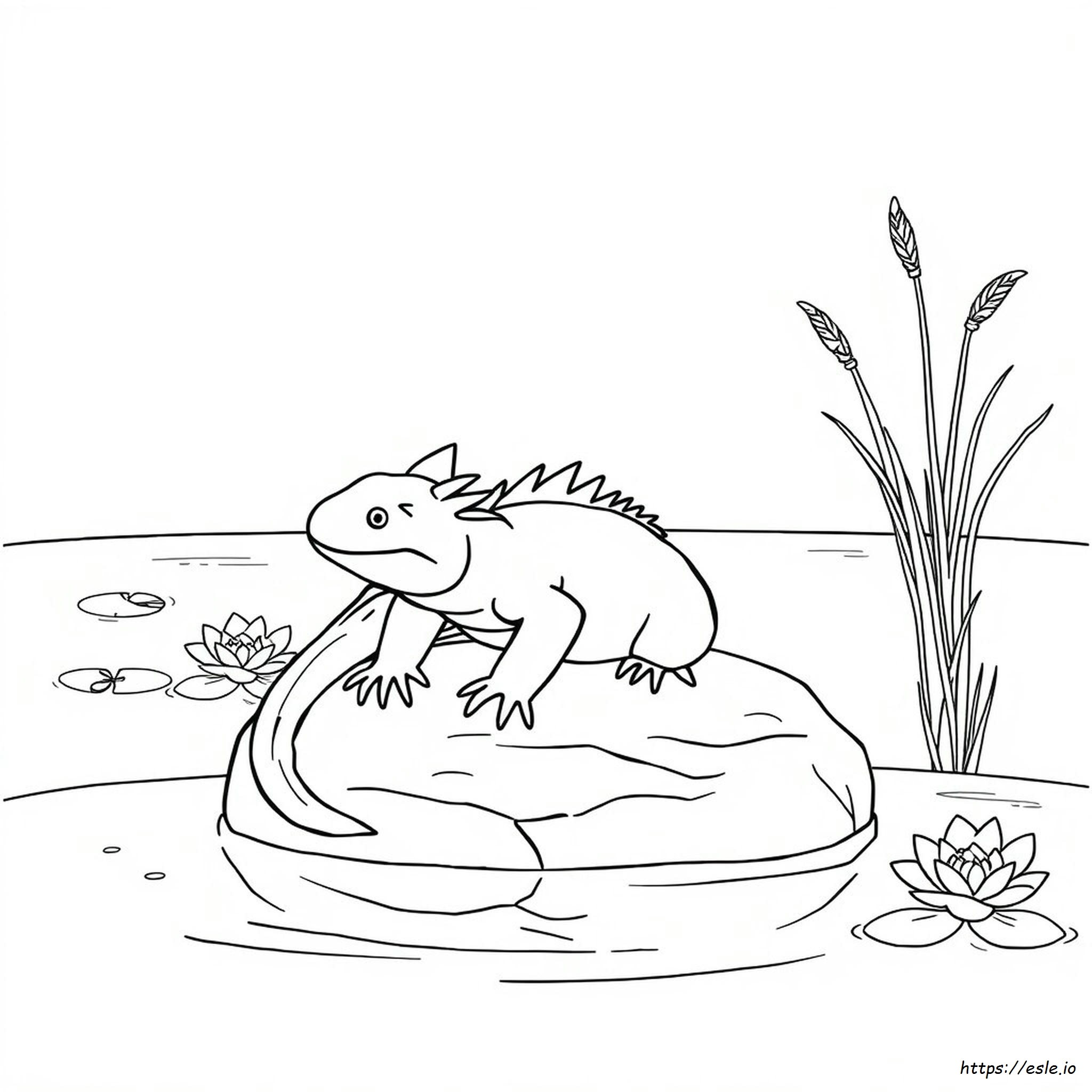 Axolotl Colouring Pages Printable