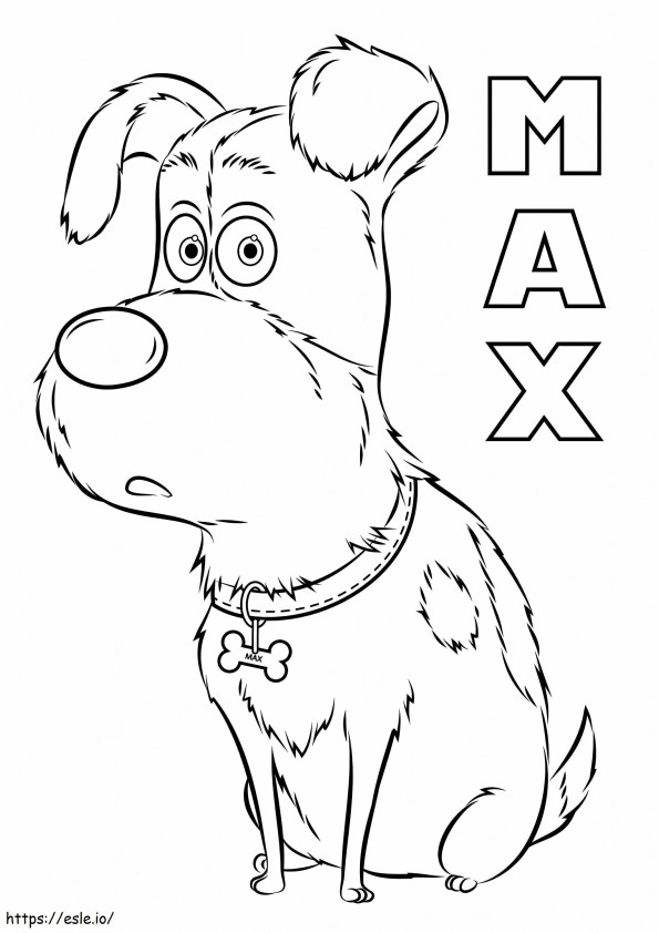 Max From The Secret Life Of Pets A4 coloring page