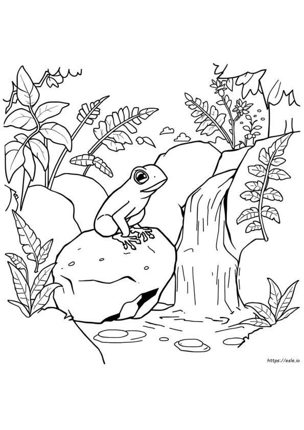 Coqui Színező