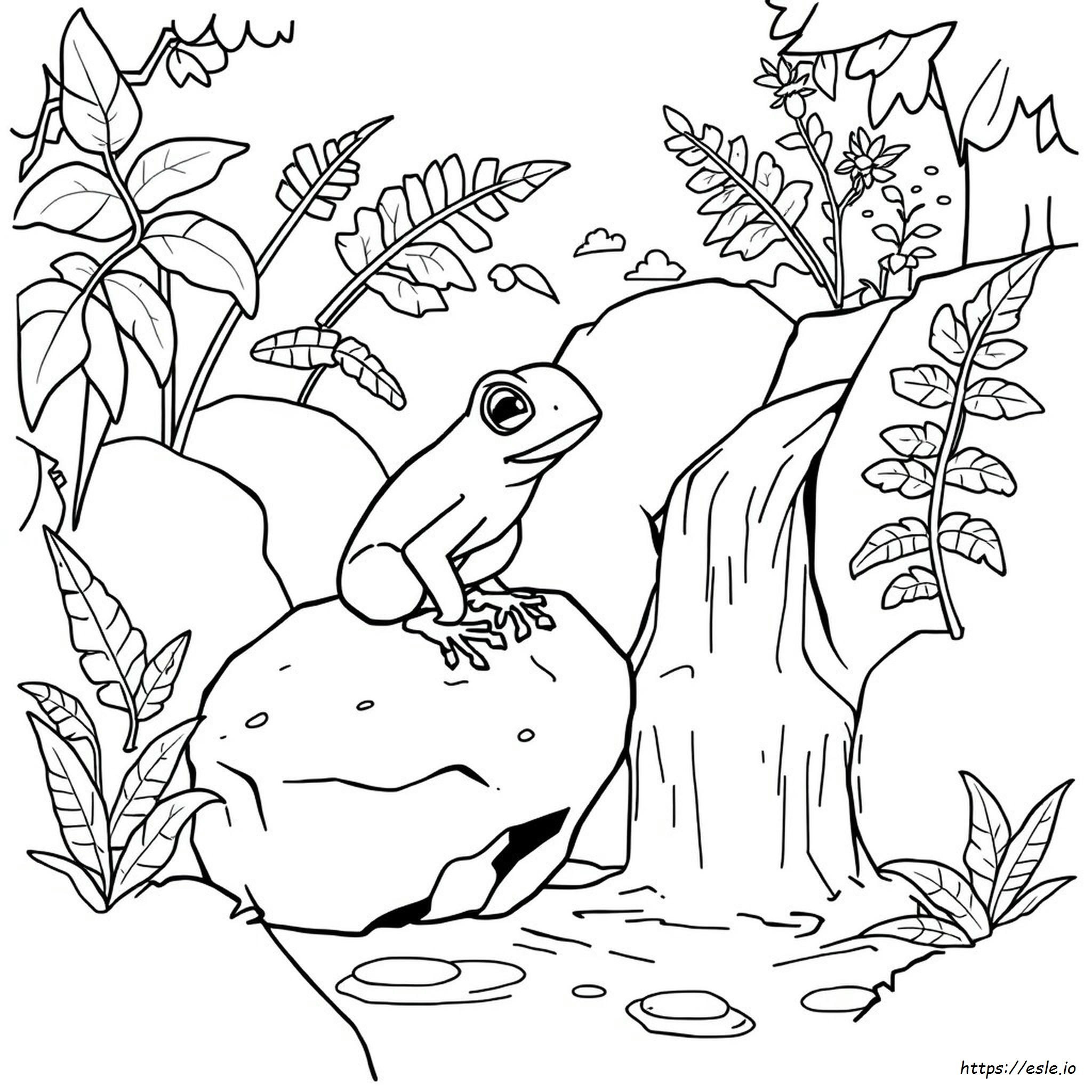 Kolorowanka Coqui