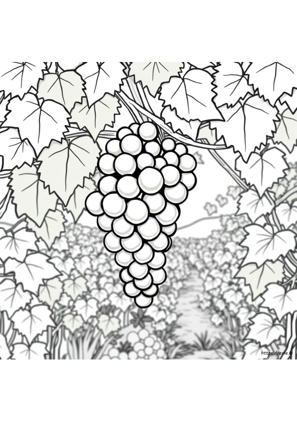 Grapes Colouring Page