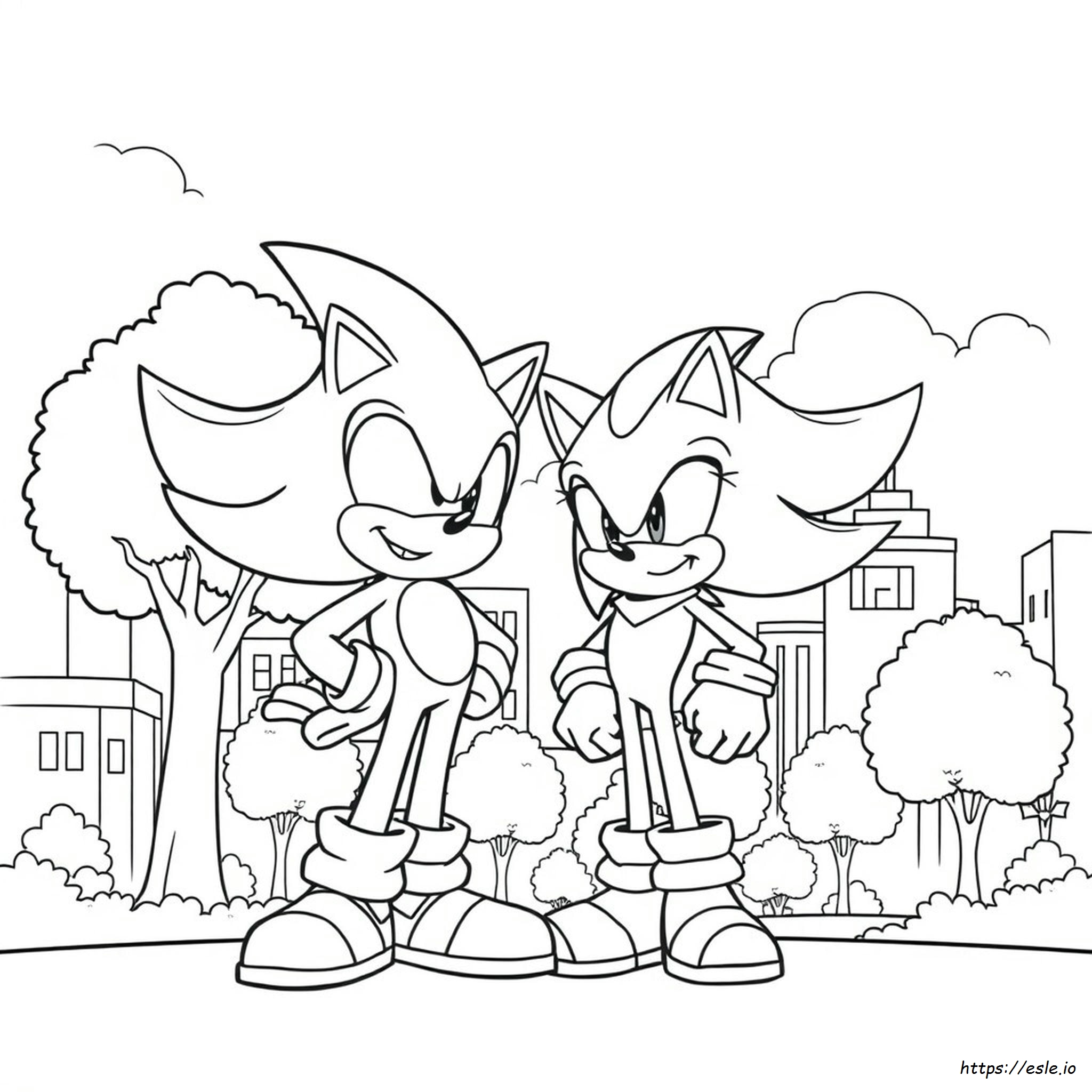 Sonic Ve Gölge Boyama Sayfaları