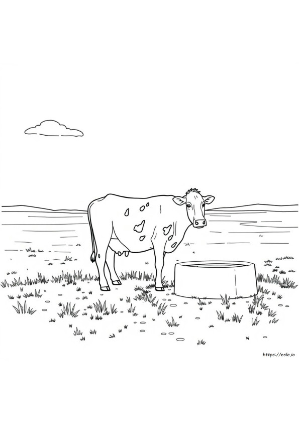 De Volta Ao Outback Para Colorir