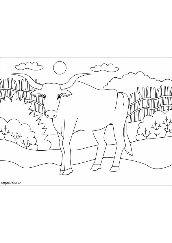Simple Ox coloring page