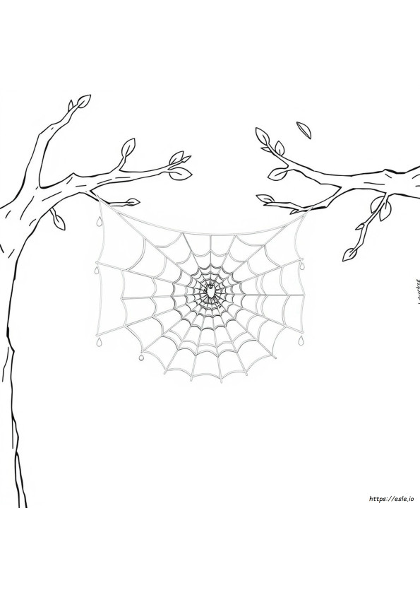 Coloriage Toile D'araignée