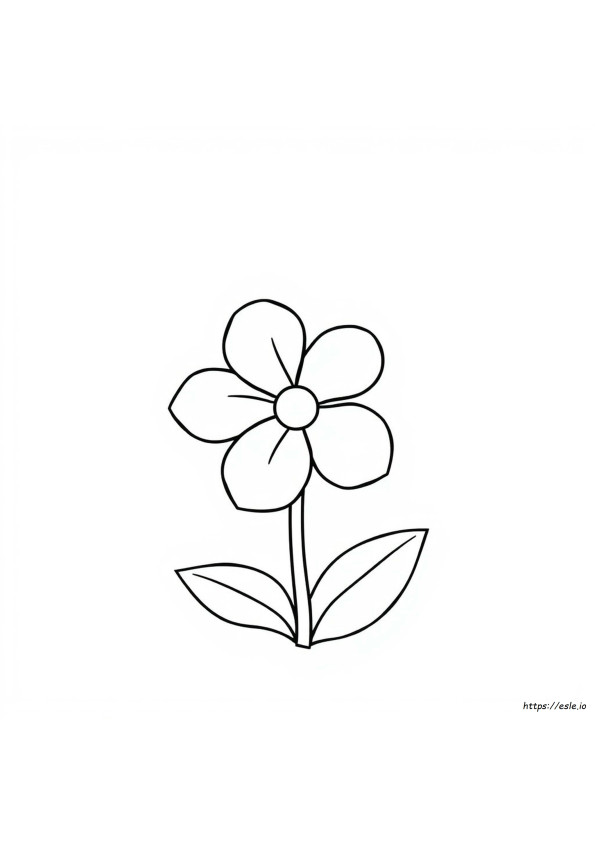 5 Petal Flower Coloring Page