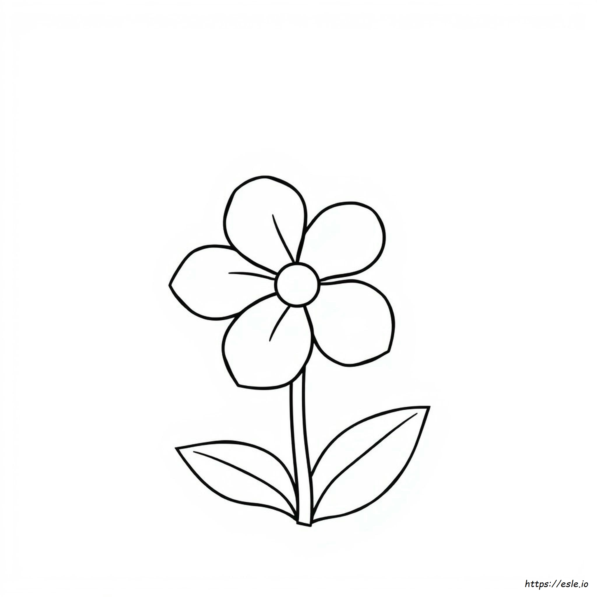 Fiore A 5 Petali Da Colorare