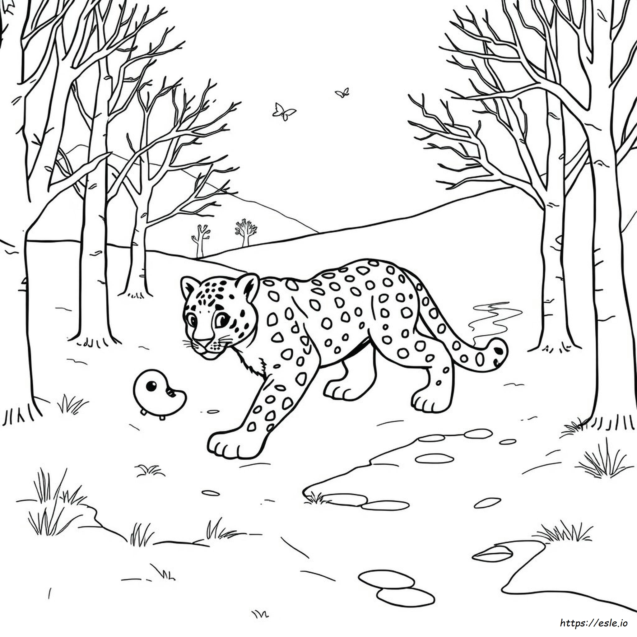 Animal Jam Coloring Pages Snow Leopard