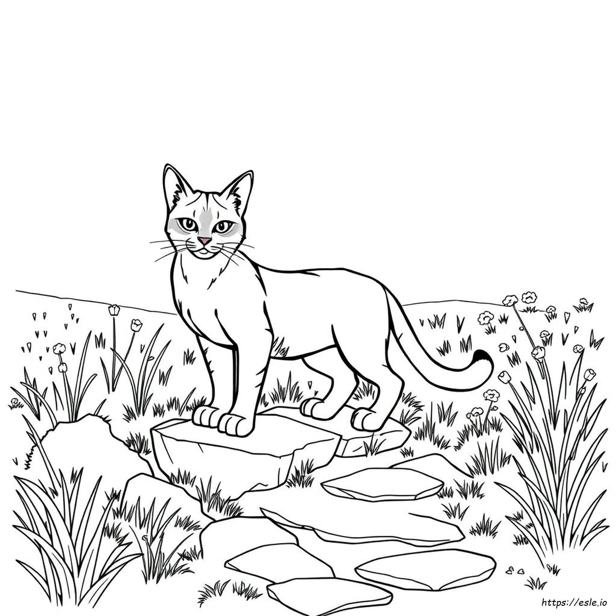 Warrior Cat Coloring Pages