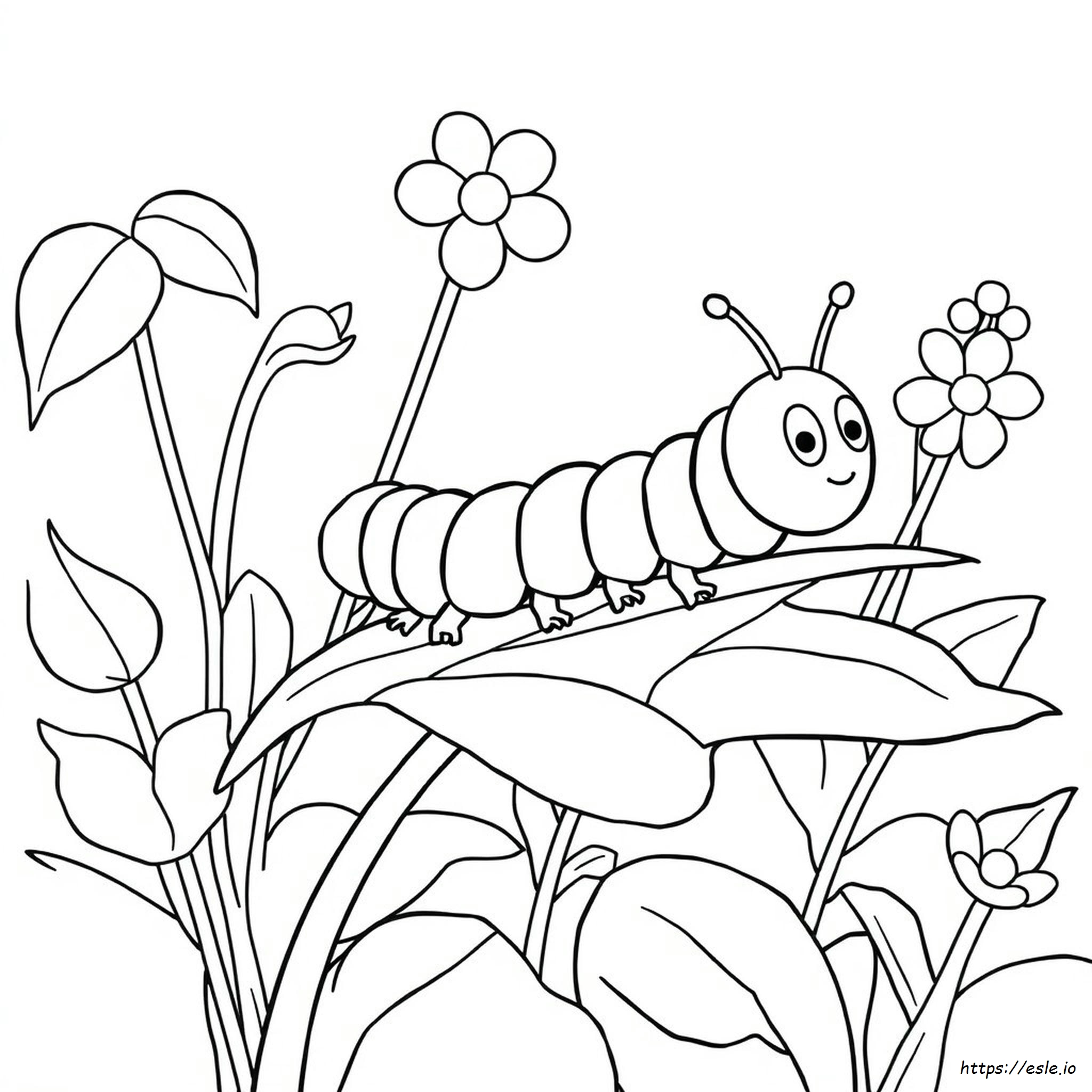 Disegni Da Colorare Di Bruchi