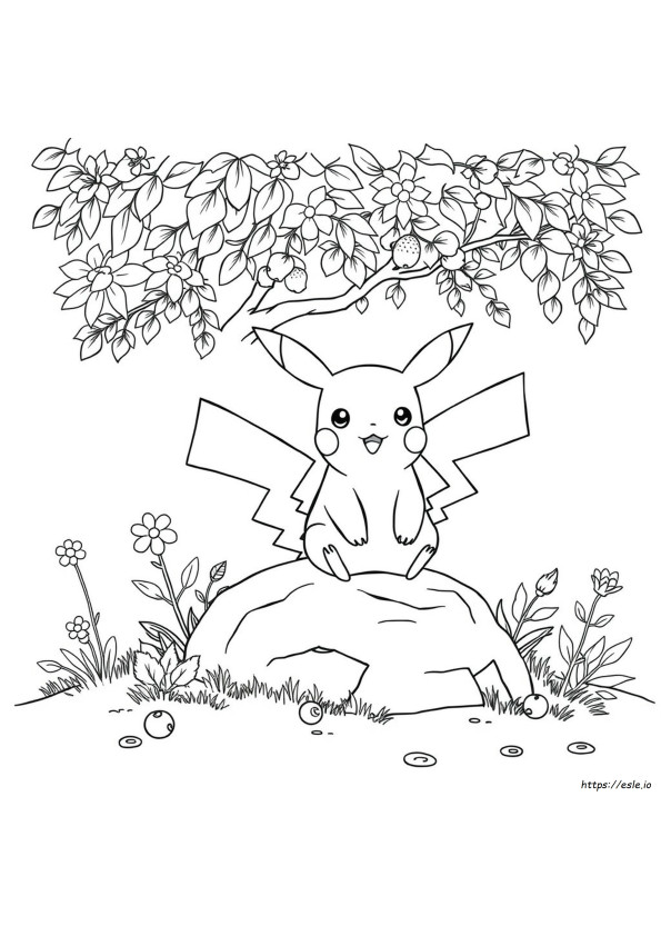 Kolay Pokemon Boyama Sayfaları
