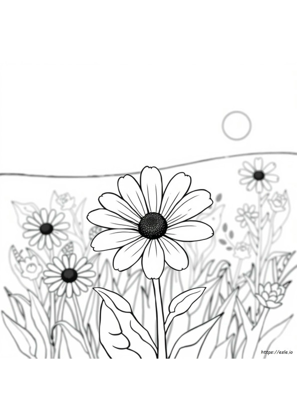 Página Para Colorear De Margarita Ojo Negro